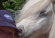 Plight of horses inspires Charlotte in 150km trek
