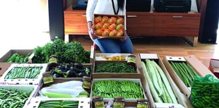 Enterprising traders import popular Indian fruit and veg