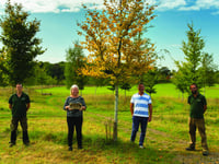 Natural burial ground judged best again