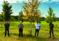 Natural burial ground judged best again