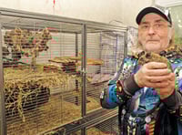 Animal lover fears eviction over pet degus
