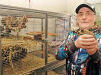 Animal lover fears eviction over pet degus