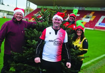 Football club branches out to sell Christmas trees at festive market