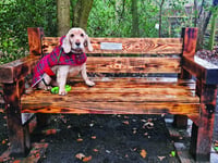 Bench in memory of well-known village stalwart