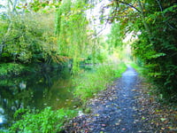 Taking care of our tranquil waterway