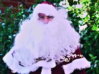 Bring Santa to your garden