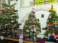 Topical festive tree display brings joy
