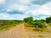 Blow the cobwebs away with a new year walk