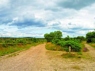 Blow the cobwebs away with a new year walk