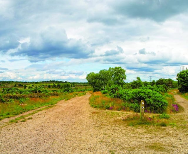 Blow the cobwebs away with a new year walk