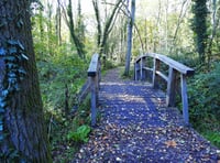 Hidden gem transformed into a wildlife haven