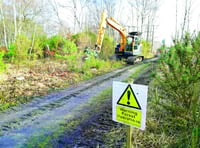 Diggers on the common are improving the habitat
