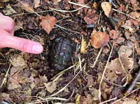 Mum steps on hand grenade during walk on common