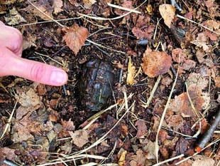 Mum steps on hand grenade during walk on common