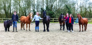 Big-hearted riding stables facing crisis point appeals for local help