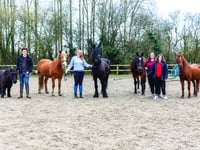 Big-hearted riding stables facing crisis point appeals for local help
