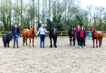 Big-hearted riding stables facing crisis point appeals for local help