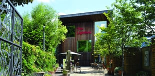 Lightbox Gallery welcomes new chairman