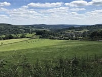 Fancy going back to nature for TV programme?