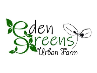 Microgreens entry hopes to be a big winner in CREST21 Business Awards