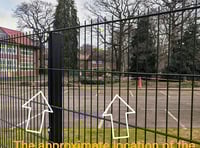 Anger as memorial trees are cut down