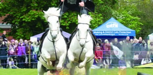 Carnival plans for a September event