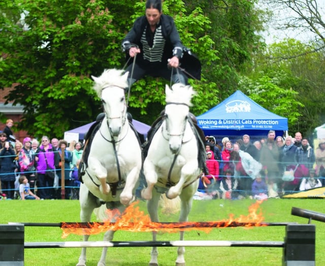 Carnival plans for a September event