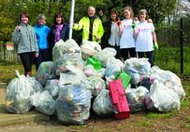 Volunteers sought for village litter pick