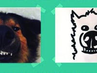 Take your chances in pet portrait lottery to support RSPCA