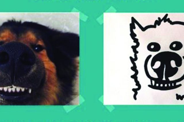 Take your chances in pet portrait lottery to support RSPCA