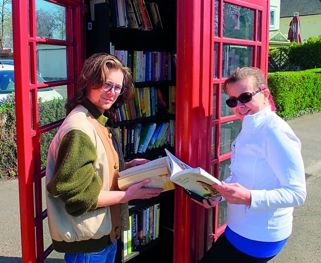 Missing books presumed stolen from mini-library