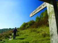 Enjoy but respect and protect the countryside