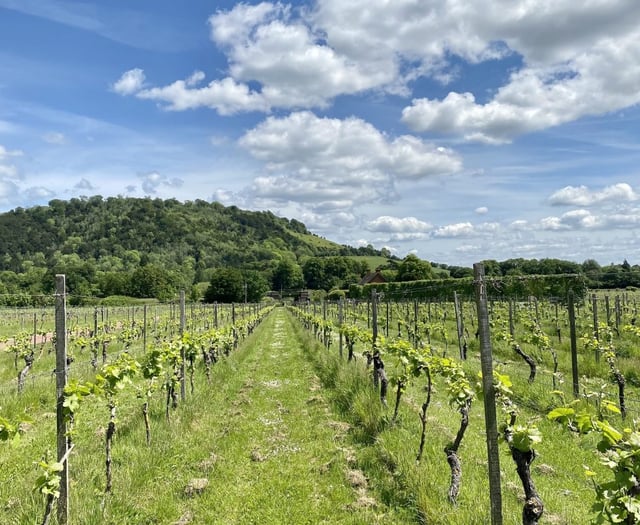 Artisan festival showcases the produce of the hills