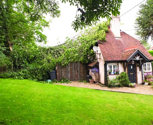 Lightning strike sees tree crash through bedroom ceiling