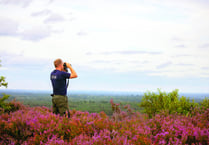 Experience the magic of our heathland