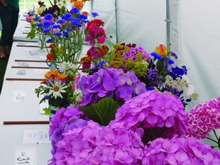 Horsell Village Show is back – last chance for entries