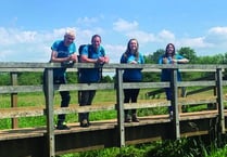 Hospice fundraisers get back to business with a woodland walk