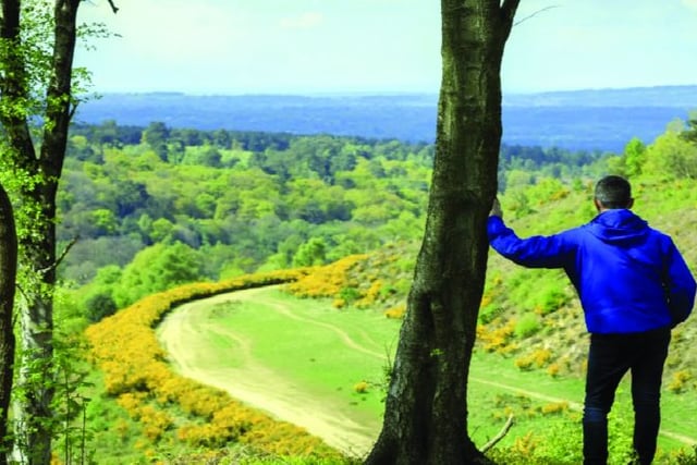 Hindhead Tunnel celebrates 10 year anniversary