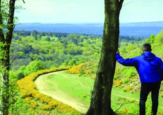 Hindhead Tunnel celebrates 10 year anniversary