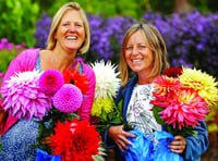 Flower show to bloom again at RHS Wisley