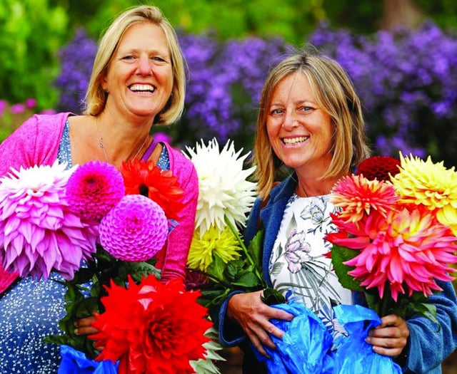 Flower show to bloom again at RHS Wisley