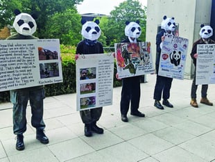 Protesters target WWF headquarters