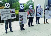 Protesters target WWF headquarters