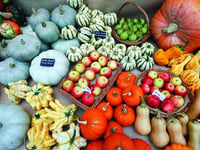 Displaying an abundant harvest