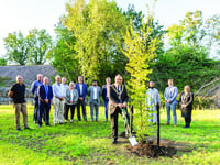 New site and wetland area at historic burial ground