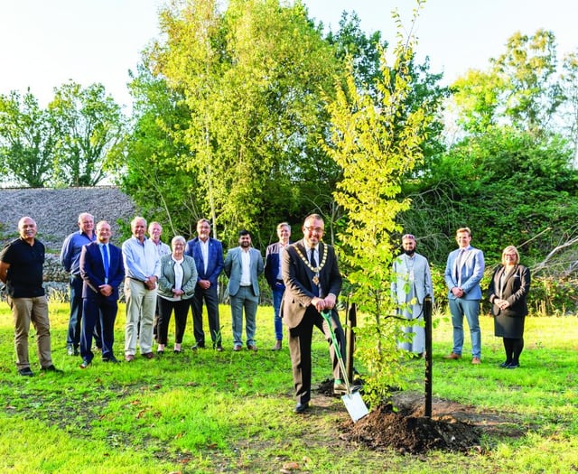 New site and wetland area at historic burial ground