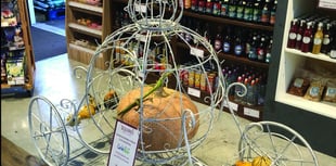 Cinderella pumpkin raises charity funds