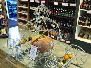 Cinderella pumpkin raises charity funds