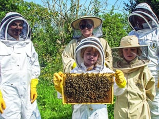 Make a start in the skills of beekeeping