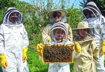 Make a start in the skills of beekeeping